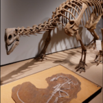 1_4_26_Schulsozialarbeit