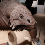 3_4_26_Schulsozialarbeit